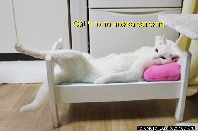 Ой! Что-то ножка затекла.... Котоматрица: Ой! Что-то ножка затекла.