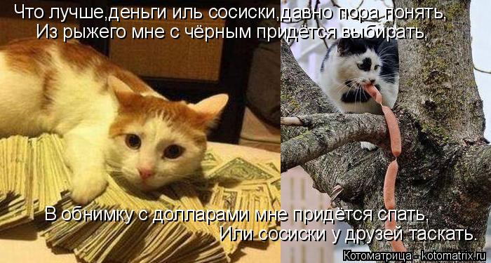 Что лучше,деньги иль сосиски,давно пора понять, Из рыжего мне с чёрным придётся выбирать, В обнимку с... Котоматрица: Что лучше,деньги иль сосиски,давно пора понять, Из рыжего мне с чёрным придётся выбирать, В обнимку с долларами мне придётся спать, Или соси