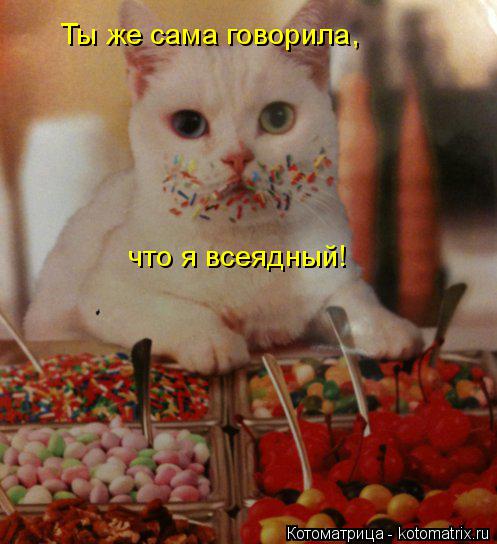 Ты же сама говорила, что я всеядный!... Котоматрица: Ты же сама говорила, что я всеядный!