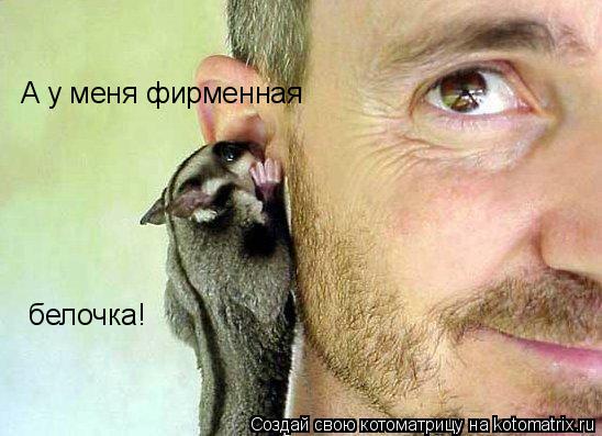 Котоматрица: белочка! А у меня фирменная
