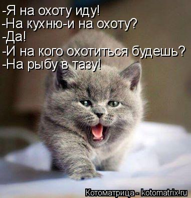 -Я на охоту иду! -На кухню-и на охоту? -Да! -И на кого охотиться будешь? -На рыбу в тазу!... Котоматрица: -Я на охоту иду! -На кухню-и на охоту? -Да! -И на кого охотиться будешь? -На рыбу в тазу!