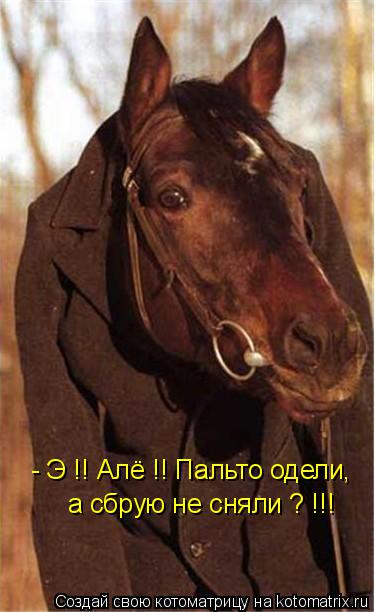 Котоматрица: - Э !! Алё !! Пальто одели,  а сбрую не сняли ? !!!