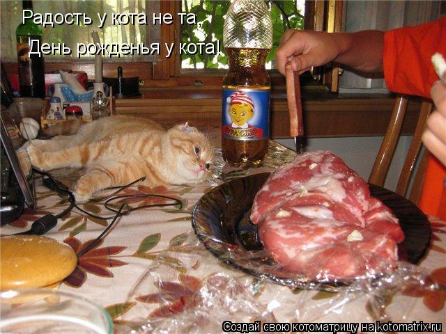 Радость у кота не та, День рожденья у кота!... Котоматрица: Радость у кота не та, День рожденья у кота!