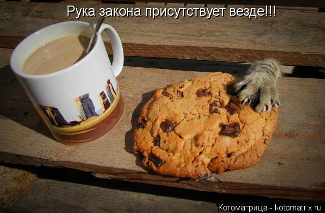 Рука закона присутствует везде!!!... Котоматрица: Рука закона присутствует везде!!!