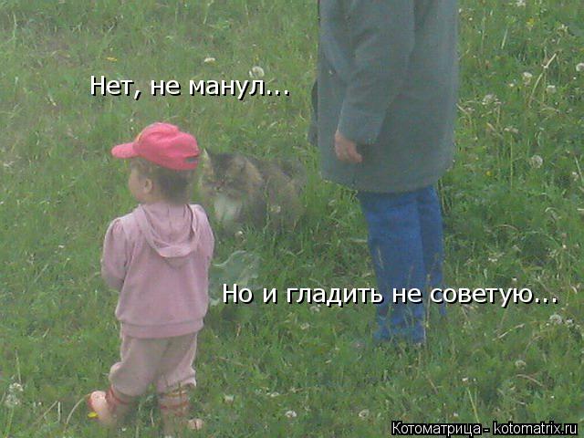 Нет, не манул... Но и гладить не советую...... Котоматрица: Нет, не манул... Но и гладить не советую...