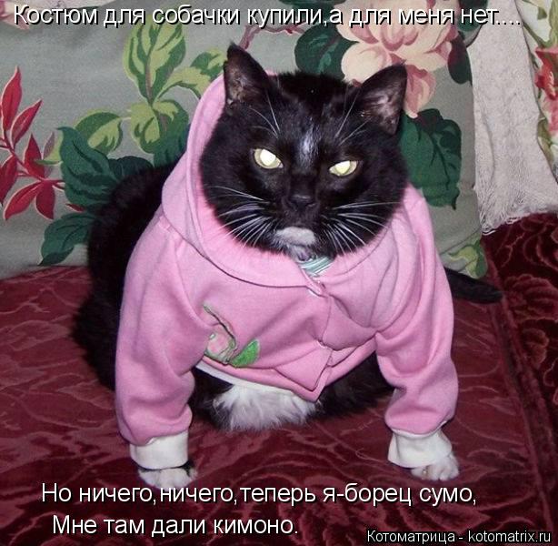 Костюм для собачки купили,а для меня нет.... Но ничего,ничего,теперь я-борец сумо, Мне там дали кимон... Котоматрица: Костюм для собачки купили,а для меня нет.... Но ничего,ничего,теперь я-борец сумо, Мне там дали кимоно.
