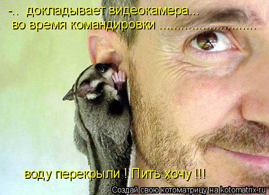 Котоматрица: -..  докладывает видеокамера...  во время командировки ........................... воду перекрыли ! Пить хочу !!!