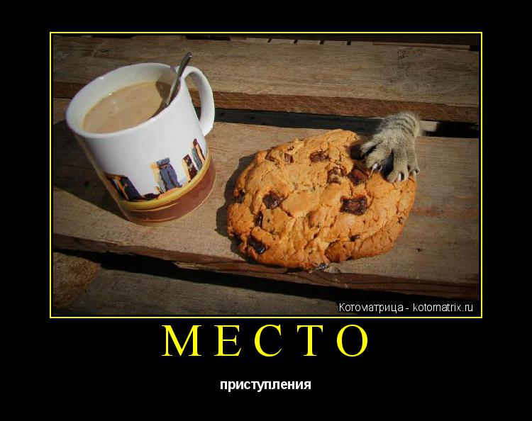 МЕСТО приступления... Котоматрица: МЕСТО приступления