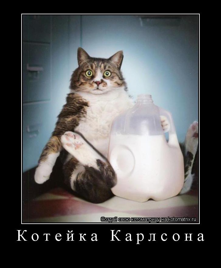 Котейка Карлсона ... Котоматрица: Котейка Карлсона
