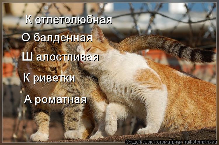 К отлетолюбная О балденная Ш алостливая К риветки А роматная... Котоматрица: К отлетолюбная О балденная Ш алостливая К риветки А роматная