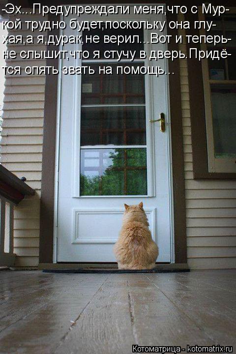 -Эх...Предупреждали меня,что с Мур- кой трудно будет,поскольку она глу- хая,а я,дурак,не верил...Вот ... Котоматрица: -Эх...Предупреждали меня,что с Мур- кой трудно будет,поскольку она глу- хая,а я,дурак,не верил...Вот и теперь- не слышит,что я стучу в дверь.Прид