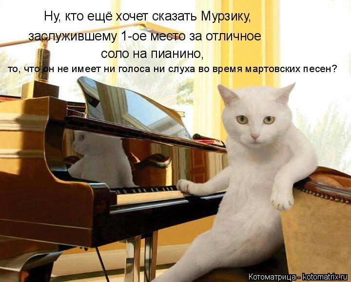 Ну, кто ещё хочет сказать Мурзику, заслужившему 1-ое место за отличное соло на пианино, то, что он... Котоматрица: Ну, кто ещё хочет сказать Мурзику, заслужившему 1-ое место за отличное соло на пианино, то, что он не имеет ни голоса ни слуха во время марто