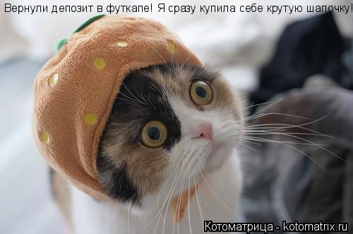 Вернули депозит в футкапе! Я сразу купила себе крутую шапочку!... Котоматрица: Вернули депозит в футкапе! Я сразу купила себе крутую шапочку!