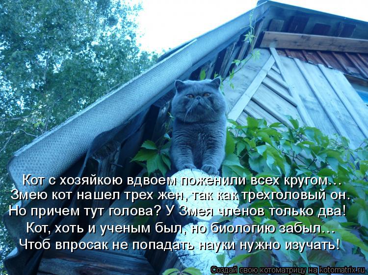 Кот с хозяйкою вдвоем поженили всех кругом… Змею кот нашел трех жен, так как трехголовый он. Но приче... Котоматрица: Кот с хозяйкою вдвоем поженили всех кругом… Змею кот нашел трех жен, так как трехголовый он. Но причем тут голова? У Змея членов только два!