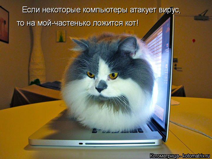 Котоматрица: Если некоторые компьютеры атакует вирус, то на мой-частенько ложится кот!