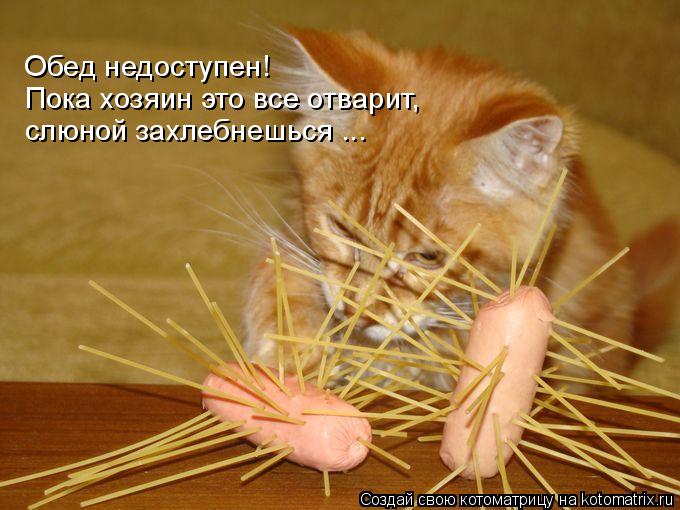 Обед недоступен! Пока хозяин это все отварит, слюной захлебнешься ...... Котоматрица: Обед недоступен! Пока хозяин это все отварит, слюной захлебнешься ...