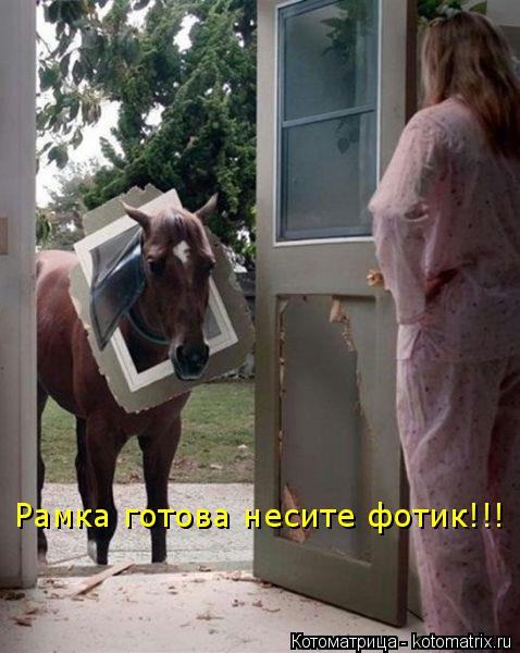 Рамка готова несите фотик!!!... Котоматрица: Рамка готова несите фотик!!!