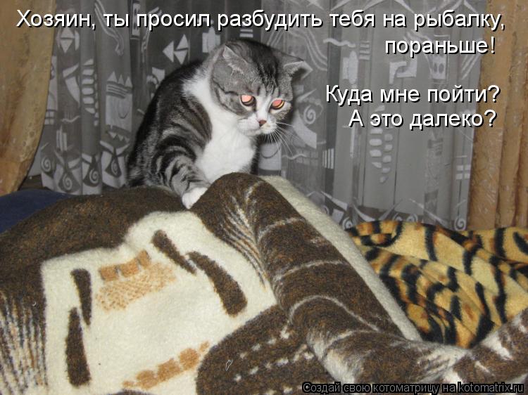 Хозяин, ты просил разбудить тебя на рыбалку, пораньше! Куда мне пойти? А это далеко?... Котоматрица: Хозяин, ты просил разбудить тебя на рыбалку, пораньше! Куда мне пойти? А это далеко?