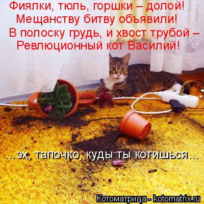 Фиялки, тюль, горшки – долой! В полоску грудь, и хвост трубой – Ревлюционный кот Василий! …эх, тапо... Котоматрица: Фиялки, тюль, горшки – долой! В полоску грудь, и хвост трубой – Ревлюционный кот Василий! …эх, тапочко, куды ты котишься… Мещанству битву о