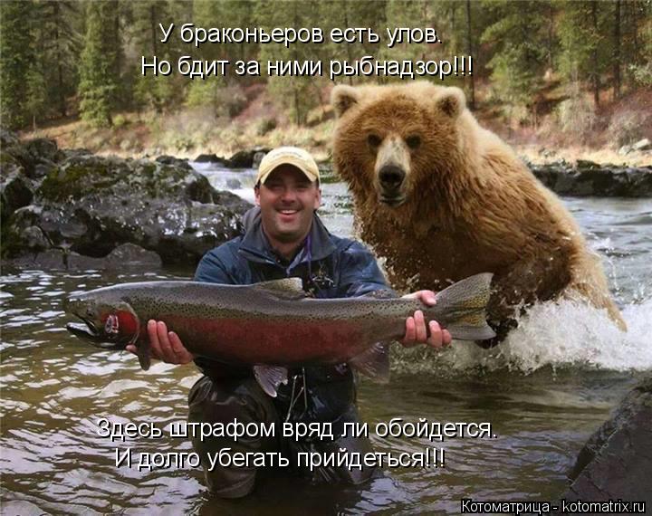 Но бдит за ними рыбнадзор!!! У браконьеров есть улов. Здесь штрафом вряд ли обойдется. И долго убегат... Котоматрица: Но бдит за ними рыбнадзор!!! У браконьеров есть улов. Здесь штрафом вряд ли обойдется. И долго убегать прийдеться!!!