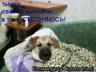 ты это... свет то выключи... а то я, СТЕСНЯЮСЬ!... Котоматрица: ты это... свет то выключи... а то я, СТЕСНЯЮСЬ!