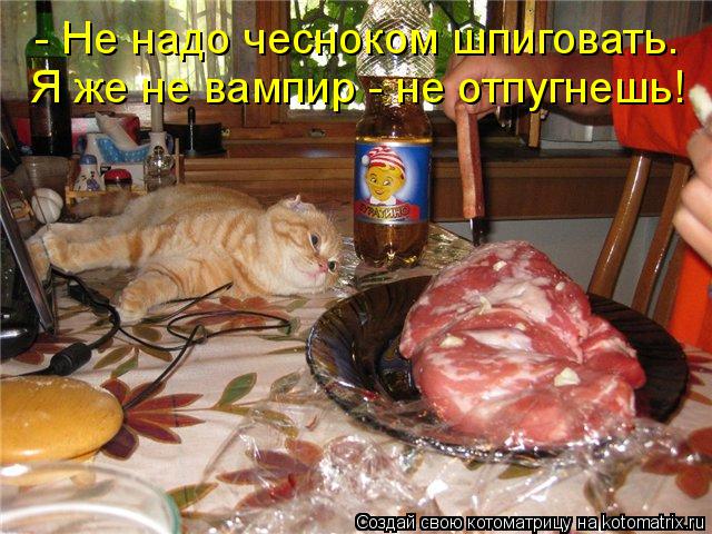 Я же не вампир - не отпугнешь! - Не надо чесноком шпиговать.... Котоматрица: Я же не вампир - не отпугнешь! - Не надо чесноком шпиговать.