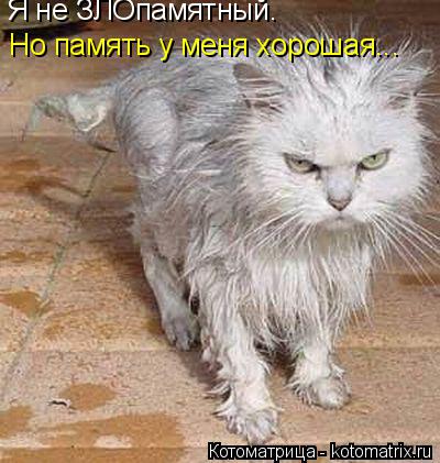 Я не ЗЛОпамятный. Но память у меня хорошая...... Котоматрица: Я не ЗЛОпамятный. Но память у меня хорошая...