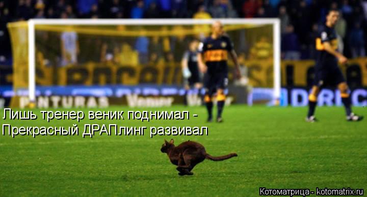 Лишь тренер веник поднимал - Прекрасный ДРАПлинг развивал... Котоматрица: Лишь тренер веник поднимал - Прекрасный ДРАПлинг развивал