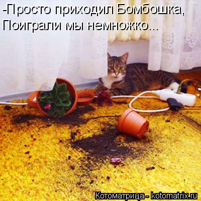 -Просто приходил Бомбошка, Поиграли мы немножко...... Котоматрица: -Просто приходил Бомбошка, Поиграли мы немножко...