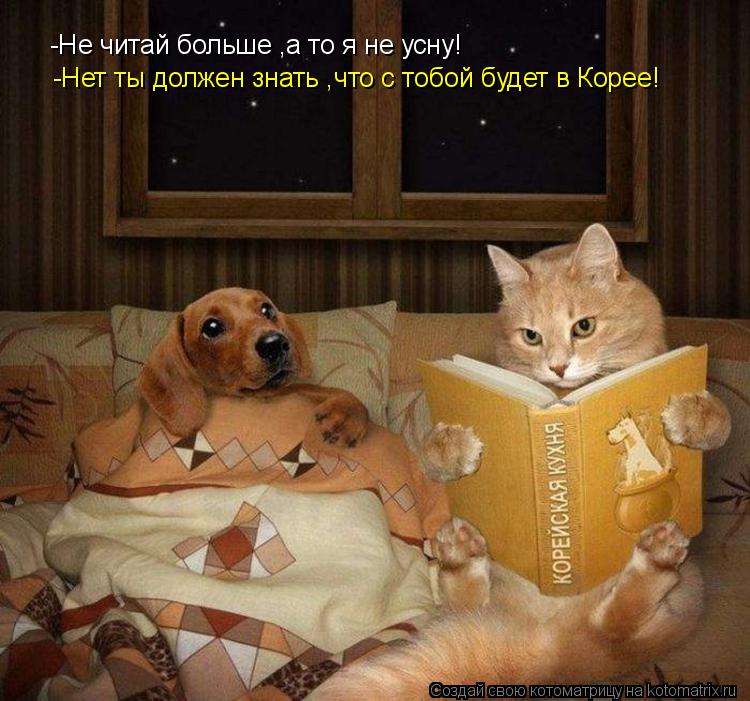 -Не читай больше ,а то я не усну! -Нет ты должен знать ,что с тобой будет в Корее!... Котоматрица: -Не читай больше ,а то я не усну! -Нет ты должен знать ,что с тобой будет в Корее!