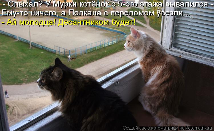 Ему-то ничего, а Полкана с переломом увезли... - Ай молодца! Десантником будет! - Слыхал? У Мурки кот... Котоматрица: Ему-то ничего, а Полкана с переломом увезли... - Ай молодца! Десантником будет! - Слыхал? У Мурки котёнок с 5-ого этажа вывалился -