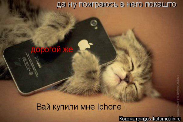Вай купили мне Iphone дорогой же да ну поиграюсь в него покашто... Котоматрица: Вай купили мне Iphone дорогой же да ну поиграюсь в него покашто