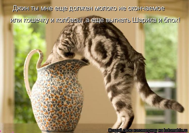 Джин ты мне еще должен молоко не скончаемое или кошечку и колбасы ,а еще выгнать Шарика и блох!... Котоматрица: Джин ты мне еще должен молоко не скончаемое или кошечку и колбасы ,а еще выгнать Шарика и блох!