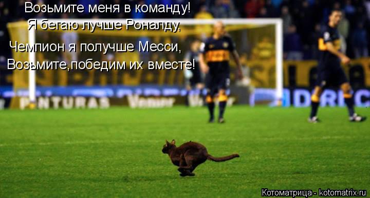 Возьмите меня в команду! Я бегаю лучше Роналду, Чемпион я получше Месси, Возьмите,победим их вместе!... Котоматрица: Возьмите меня в команду! Я бегаю лучше Роналду, Чемпион я получше Месси, Возьмите,победим их вместе!