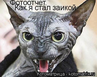 Фотоотчет. Как я стал заикой... Котоматрица: Фотоотчет. Как я стал заикой