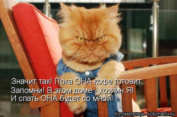 Значит так! Пока ОНА кофе готовит... Запомни! В этом доме - хозяин Я! И спать ОНА будет со мной!... Котоматрица: Значит так! Пока ОНА кофе готовит... Запомни! В этом доме - хозяин Я! И спать ОНА будет со мной!