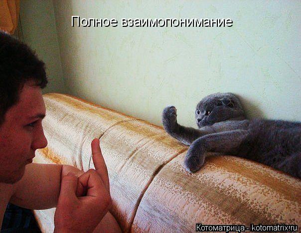 Полное взаимопонимание... Котоматрица: Полное взаимопонимание