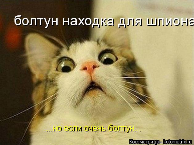 болтун находка для шпиона ...но если очень болтун...... Котоматрица: болтун находка для шпиона ...но если очень болтун...