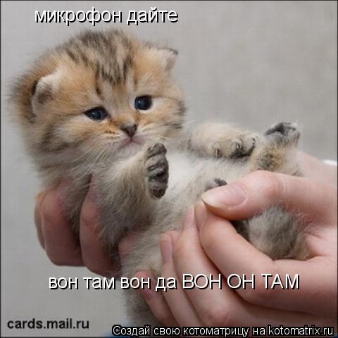 микрофон дайте вон там вон да ВОН ОН ТАМ... Котоматрица: микрофон дайте вон там вон да ВОН ОН ТАМ