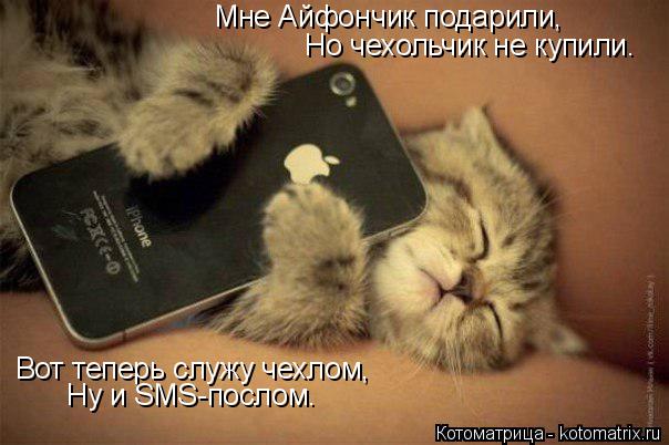 Мне Айфончик подарили, Но чехольчик не купили. Вот теперь служу чехлом, Ну и SMS-послом.... Котоматрица: Мне Айфончик подарили, Но чехольчик не купили. Вот теперь служу чехлом, Ну и SMS-послом.