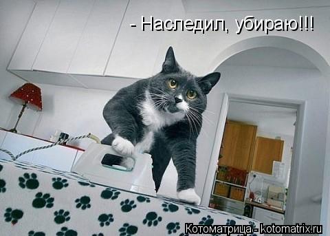 - Наследил, убираю!!!... Котоматрица: - Наследил, убираю!!!