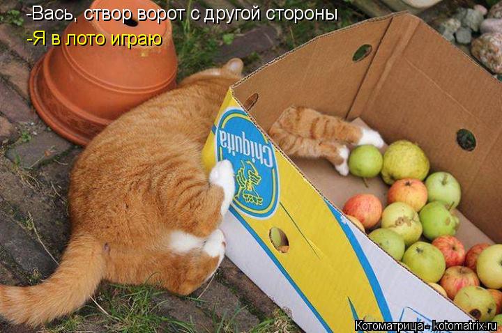 -Вась, створ ворот с другой стороны -Я в лото играю... Котоматрица: -Вась, створ ворот с другой стороны -Я в лото играю