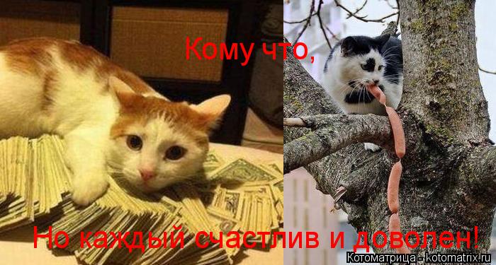 Кому что, Но каждый счастлив и доволен!... Котоматрица: Кому что, Но каждый счастлив и доволен!