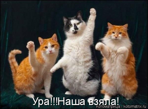 Ура!!!Наша взяла!... Котоматрица: Ура!!!Наша взяла!