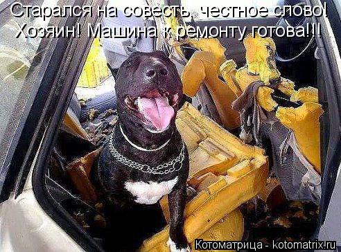 Старался на совесть, честное слово! Хозяин! Машина к ремонту готова!!!... Котоматрица: Старался на совесть, честное слово! Хозяин! Машина к ремонту готова!!!