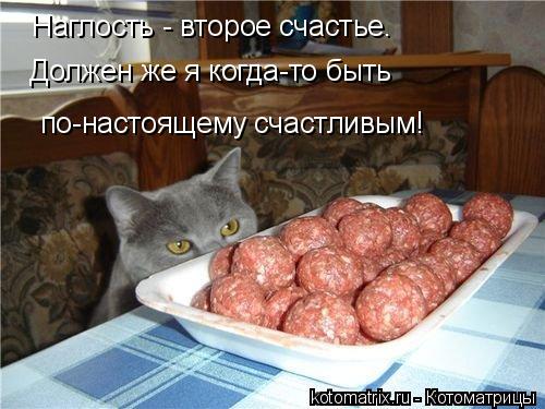 Котоматрица: Наглость - второе счастье. Должен же я когда-то быть  по-настоящему счастливым!