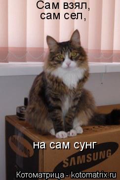 Сам взял, сам сел, на сам сунг... Котоматрица: Сам взял, сам сел, на сам сунг