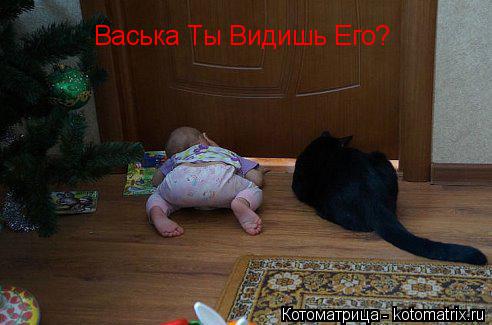 Васька Ты Видишь Его?... Котоматрица: Васька Ты Видишь Его?