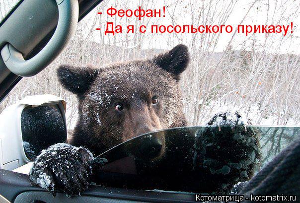 - Да я с посольского приказу! - Феофан!... Котоматрица: - Да я с посольского приказу! - Феофан!