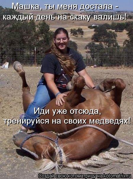 Машка, ты меня достала - каждый день на скаку валишь! Иди уже отсюда, тренируйся на своих медведях!... Котоматрица: Машка, ты меня достала - каждый день на скаку валишь! Иди уже отсюда, тренируйся на своих медведях!